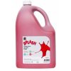 Paint Ec 5l Splash Classroom Acrylic Toffee Apple (red)