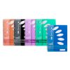 Notebook Colourhide A4 5subject Astd 250pgpg
