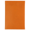 DIARY 2023 DEBDEN S5100.P44 A5 SILHOUETTE DTP ORANGE