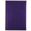 DIARY 2023 DEBDEN S5100.P55 A5 SILHOUETTE DTP PURPLE