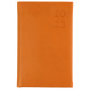DIARY 2023 DEBDEN S6700.P44 B7R B7R 80X125MM SILHOUETTE WTV ORANGE